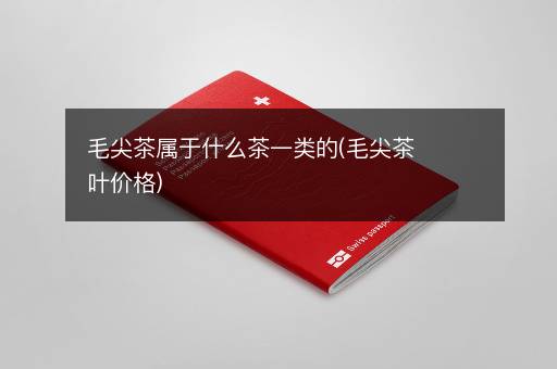 毛尖茶属于什么茶一类的(毛尖茶叶价格)