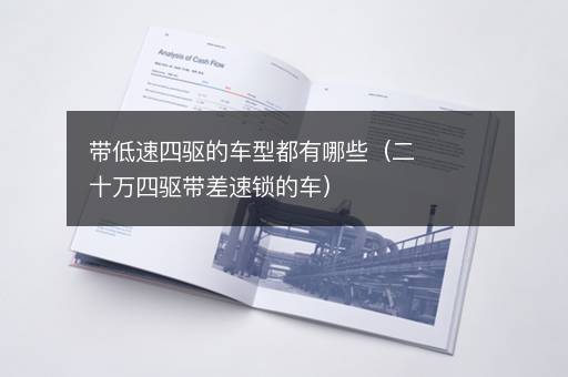 带低速四驱的车型都有哪些（二十万四驱带差速锁的车）