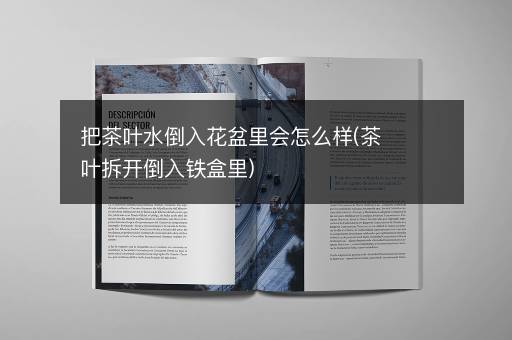 把茶叶水倒入花盆里会怎么样(茶叶拆开倒入铁盒里)
