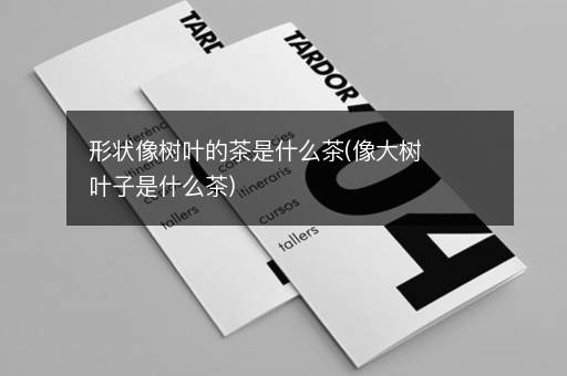 形状像树叶的茶是什么茶(像大树叶子是什么茶)