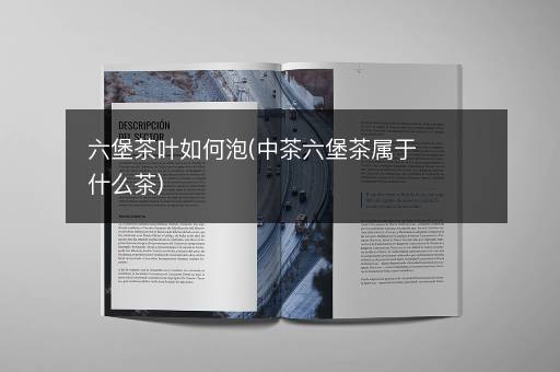 六堡茶叶如何泡(中茶六堡茶属于什么茶)