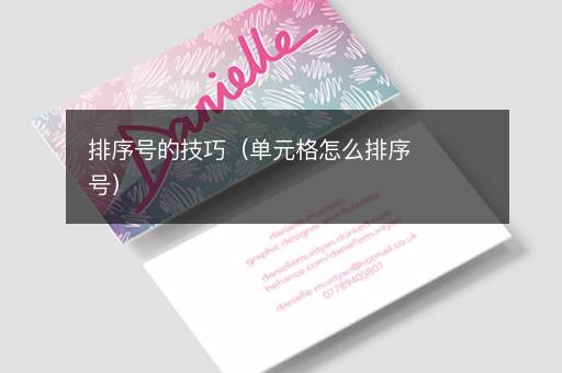 排序号的技巧（单元格怎么排序号）