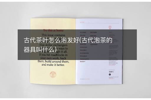 古代茶叶怎么泡发好(古代泡茶的器具叫什么)