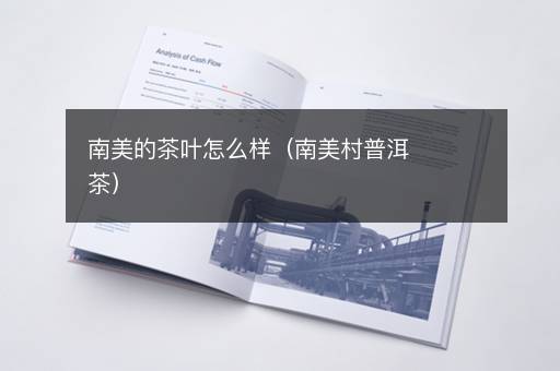 南美的茶叶怎么样（南美村普洱茶）