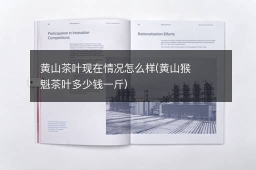 黄山茶叶现在情况怎么样(黄山猴魁茶叶多少钱一斤)