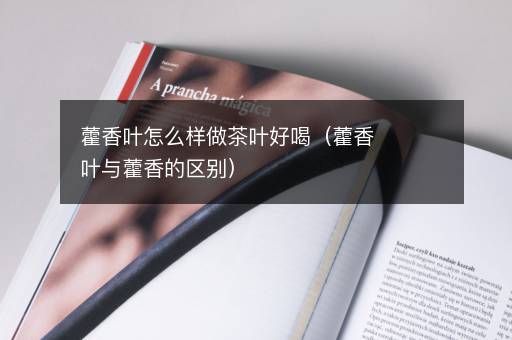 藿香叶怎么样做茶叶好喝（藿香叶与藿香的区别）