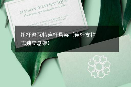 扭杆梁瓦特连杆悬架（连杆支柱式独立悬架）