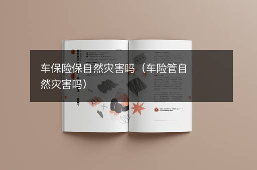 车保险保自然灾害吗（车险管自然灾害吗）