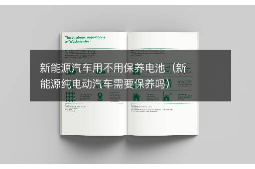 新能源汽车用不用保养电池（新能源纯电动汽车需要保养吗）