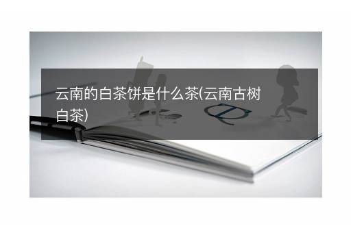 云南的白茶饼是什么茶(云南古树白茶)