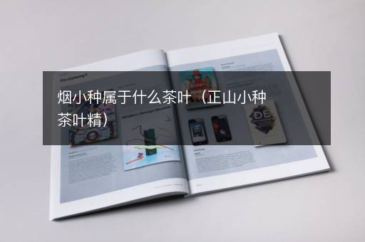 烟小种属于什么茶叶（正山小种茶叶精）