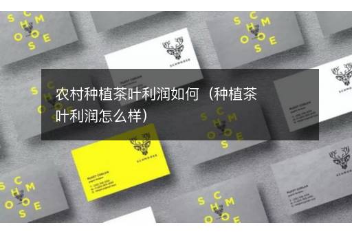 农村种植茶叶利润如何（种植茶叶利润怎么样）