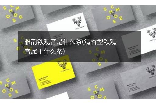 雅韵铁观音是什么茶(清香型铁观音属于什么茶)